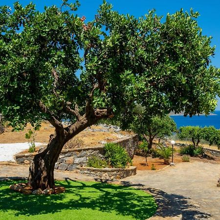 Elounda Anemelia Apartments Dış mekan fotoğraf