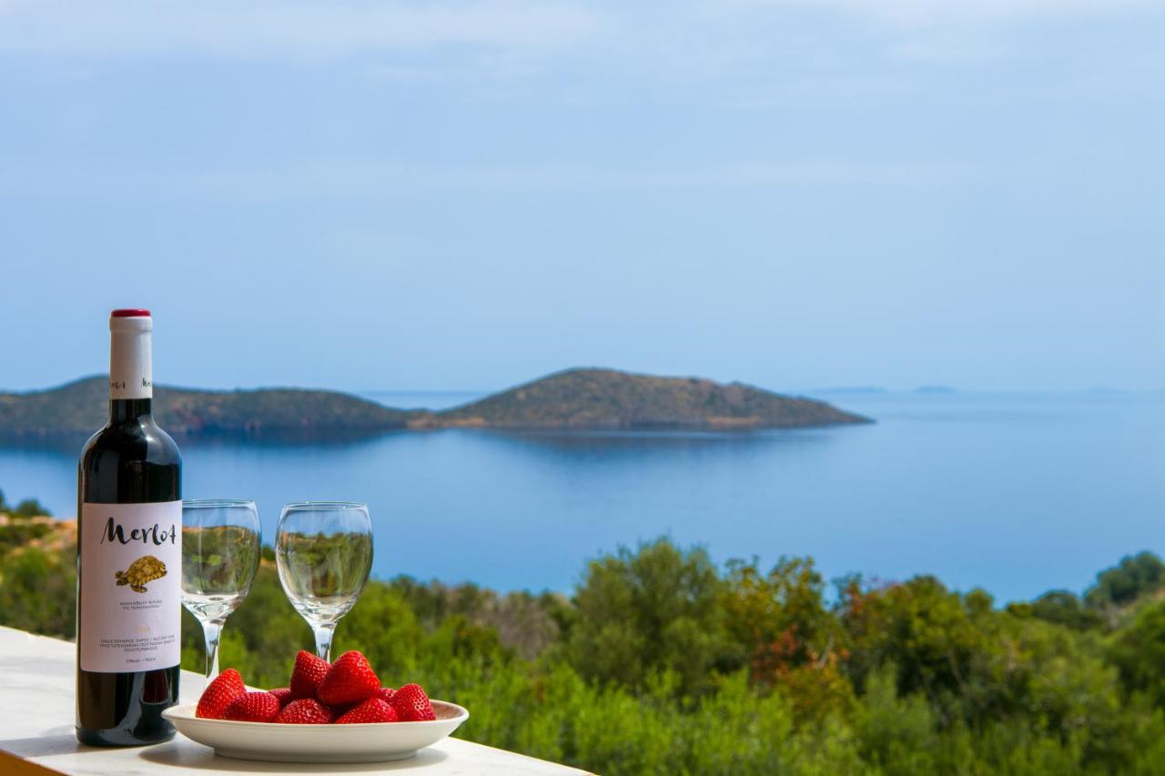 Elounda Anemelia Apartments Dış mekan fotoğraf