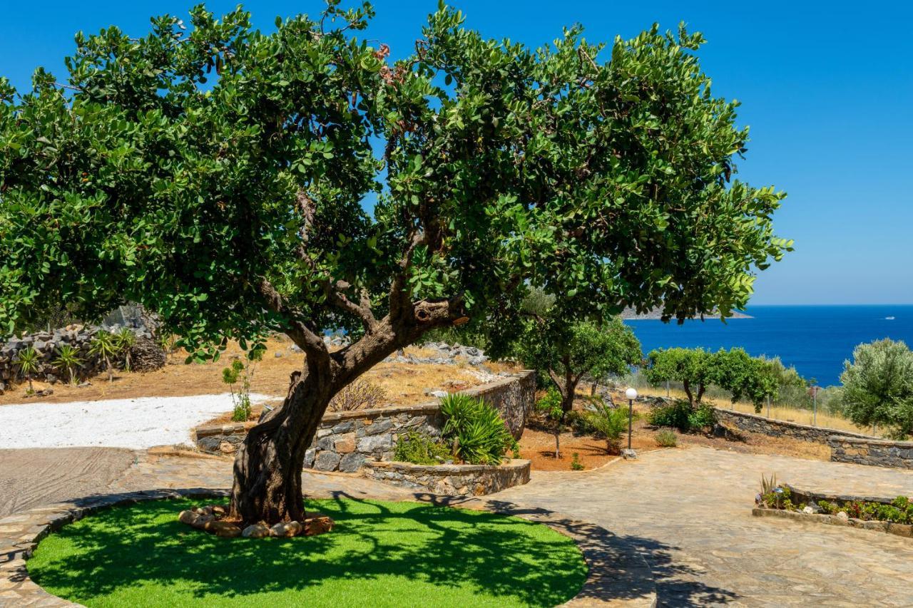 Elounda Anemelia Apartments Dış mekan fotoğraf